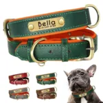 Dog Collar with Name Plate - Photo 7
