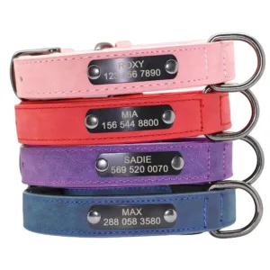 Dog Collar with Name Tag - Photo 1
