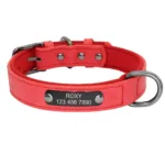 Dog Collar with Name Tag - Photo 2