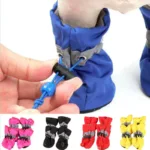 dog-socks-1