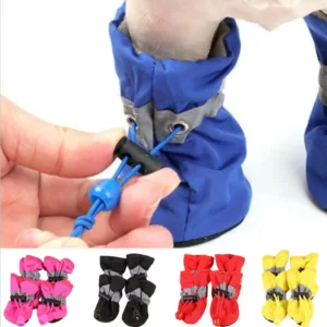 dog-socks-1