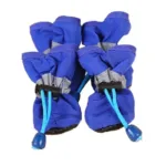 dog-socks-4