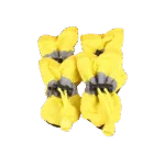 dog-socks-5