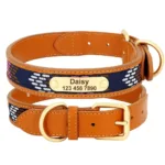 Engraved Dog Collar - Photo 3