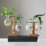 indoor-design-flower-pot-5