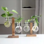 indoor-design-flower-pot-6