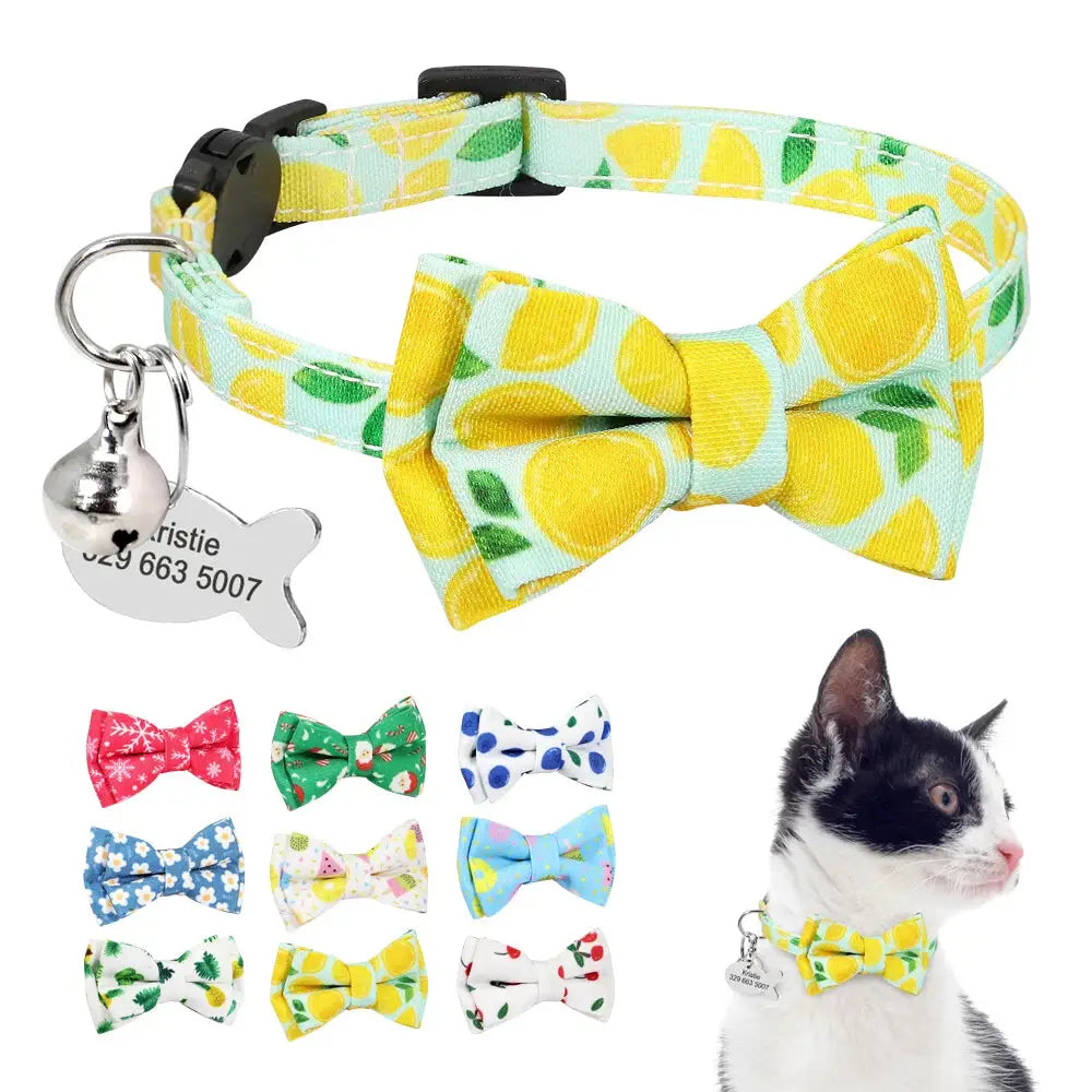 Name Tag Collar for Cats - Photo 1