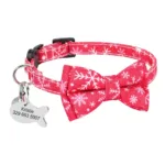 Name Tag Collar for Cats - Photo 5