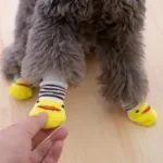 non-slip-dog-socks-1