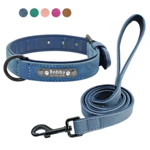 Personalised Dog Collar and Leash - Photo 1