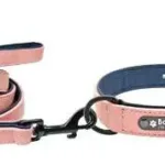 Personalised Dog Collar and Leash - Photo 2