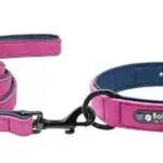 Personalised Dog Collar and Leash - Photo 4