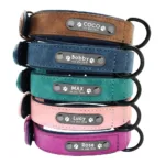 Personalised Dog Collar and Leash - Photo 7