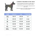 Personalised Dog Harness - Photo 8