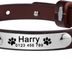 Personalised Leather Cat Collar - Photo 8