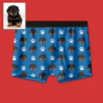Personalised Pet Boxer - Photo 1
