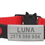 personalized-cat-necklace-13