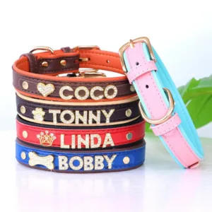 personalized-cat-necklace-first-name-1