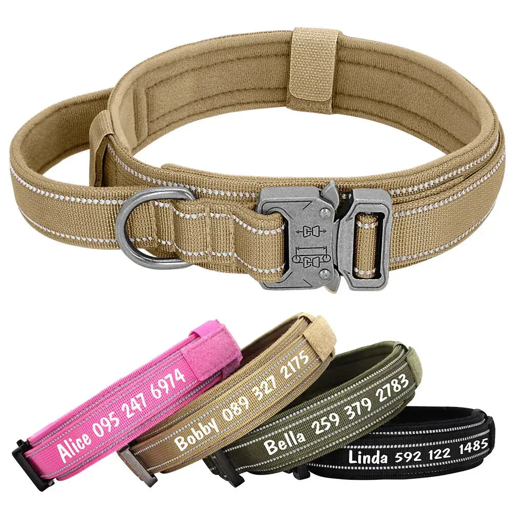 personalized-collar-for-big-dog-1