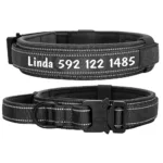 personalized-collar-for-big-dog-5
