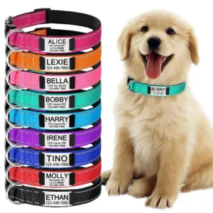 personalized-dog-collar-1
