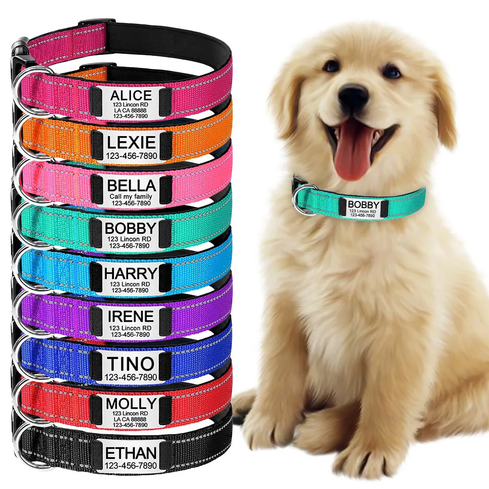personalized-dog-collar-1