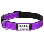 personalized-dog-collar-10