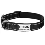 personalized-dog-collar-3