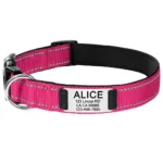 personalized-dog-collar-5