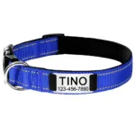 personalized-dog-collar-7