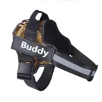 personalized-dog-harness-1