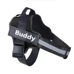 personalized-dog-harness-2