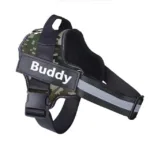 personalized-dog-harness-3