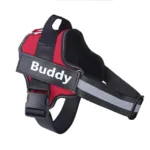 personalized-dog-harness-4