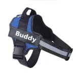 personalized-dog-harness-5