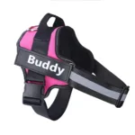 personalized-dog-harness-6