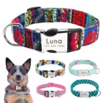 personalized-dog-necklace-with-name-1
