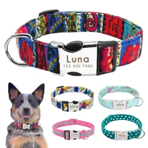 personalized-dog-necklace-with-name-1