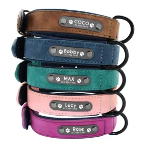 personalized-leather-dog-collar-1