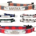 personalized-necklace-for-cat-1