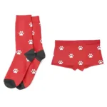 personalized-underwear-and-socks-for-dog-or-cat-5