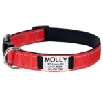 Puppy Collar Custom - Photo 2