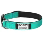 Puppy Collar Custom - Photo 9