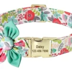 Puppy Collar with Name - Photo 8